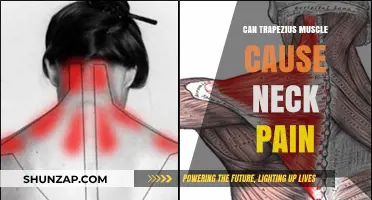 Trapezius Muscle and Neck Pain: What's the Link?