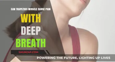 Trapezius Muscle: Can It Cause Pain When Breathing?