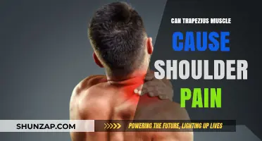 Trapezius Muscle and Shoulder Pain: What's the Link?