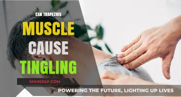 Trapezius Muscle and Tingling: What's the Connection?