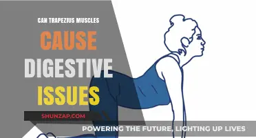 Trapezius Muscle Tension: Its Link to Digestive Problems