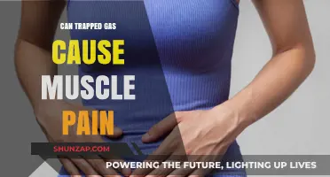 Trapped Gas: The Surprising Link to Muscle Pain