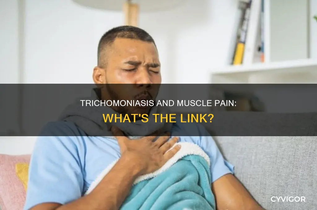 can trichomoniasis cause muscle pain