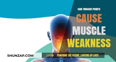 Trigger Points: A Cause of Muscle Weakness?
