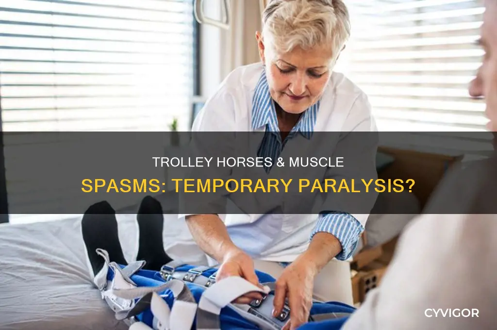 can trolley horses or muscle spasms cause temporary paralysis