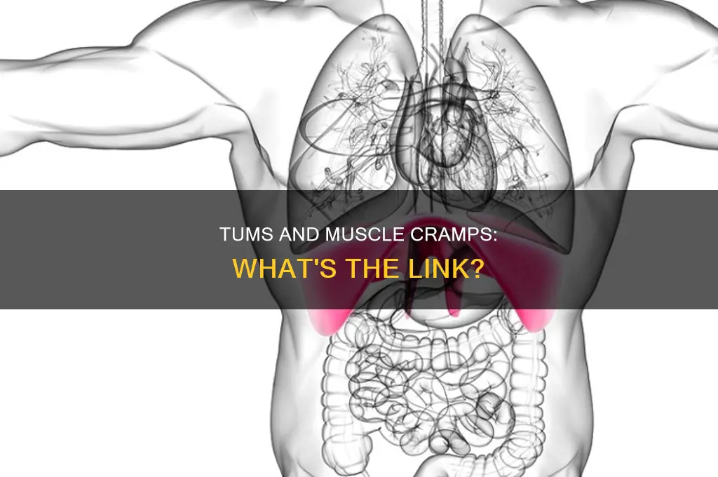 can tums cause muscle cramps