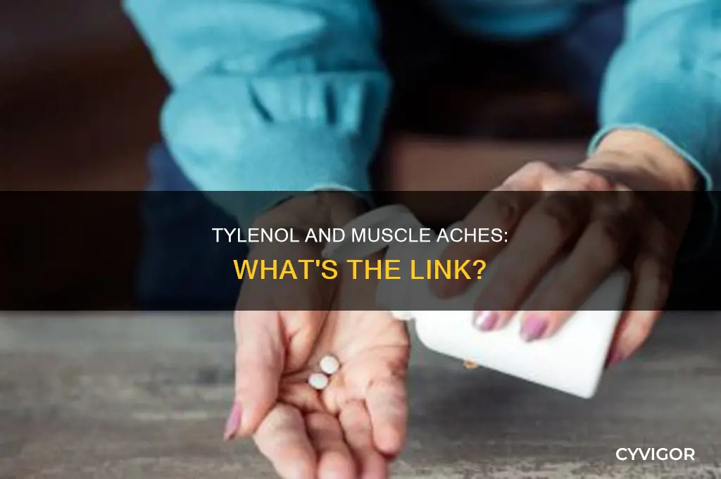 can tylenol cause muscle aches