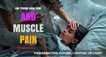 Typhoid Fever: Joint and Muscle Pain Explained