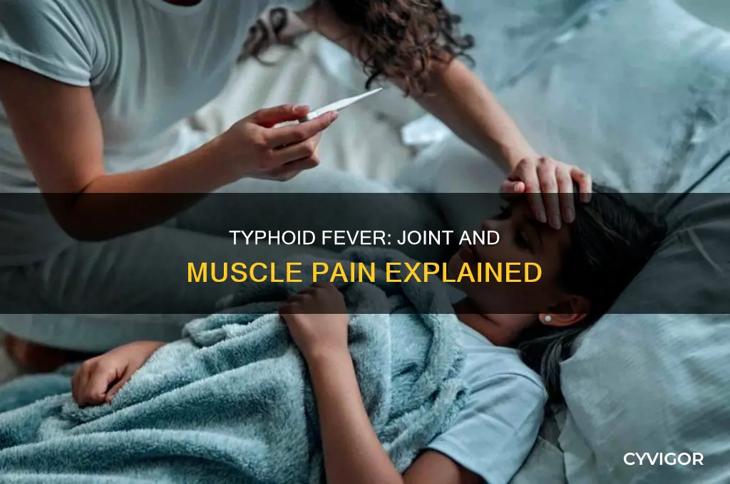 can typhoid cause joint and muscle pain