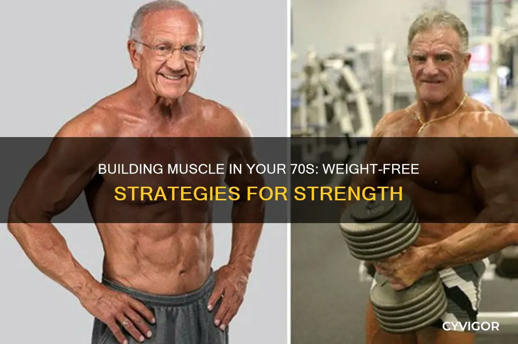 can u gain muscle iin your 70s without using weights