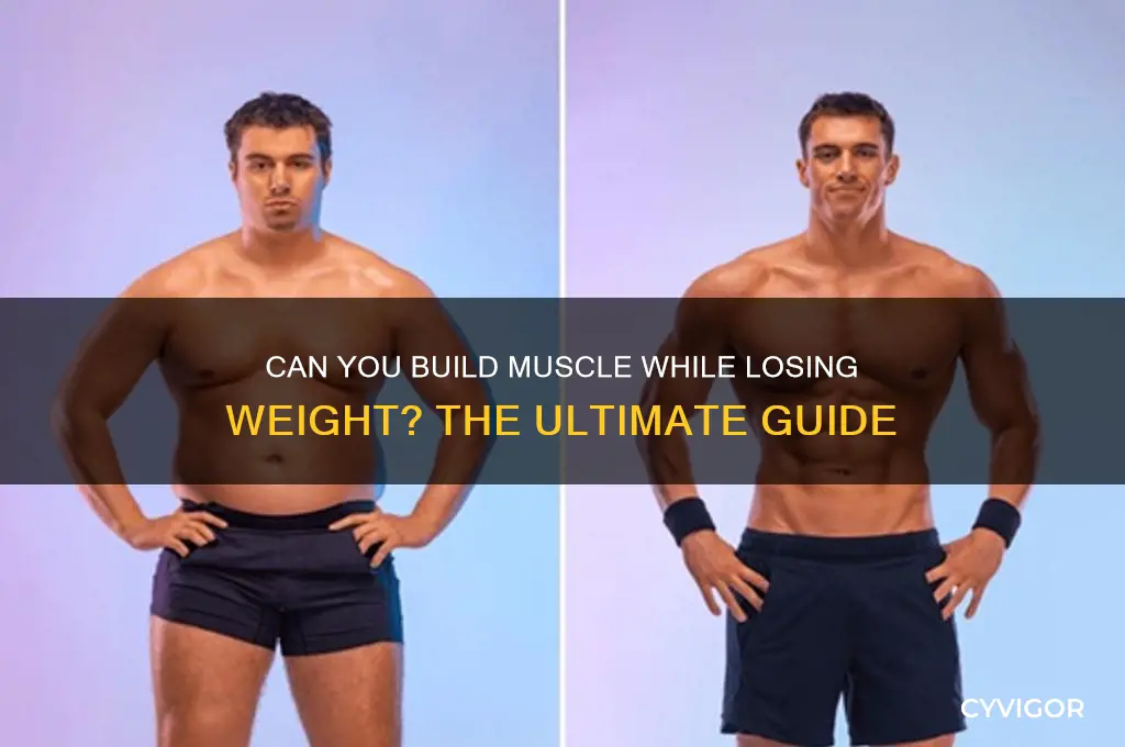 can u gain muscle while losing weight