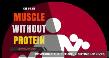 Building Muscle Without Protein: Is It Possible or Just a Myth?