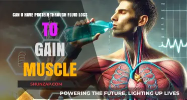 Fluid Loss and Protein: Can You Build Muscle Despite Dehydration?