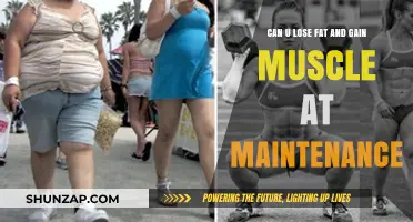 Can You Lose Fat and Gain Muscle at Maintenance Calories?