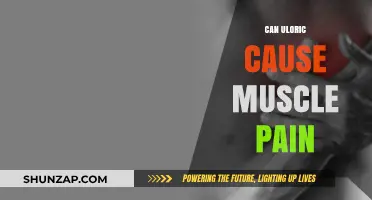 Uloric's Link to Muscle Pain: What You Need to Know