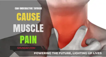 Thyroid Troubles: Muscle Pain and Underactive Thyroid
