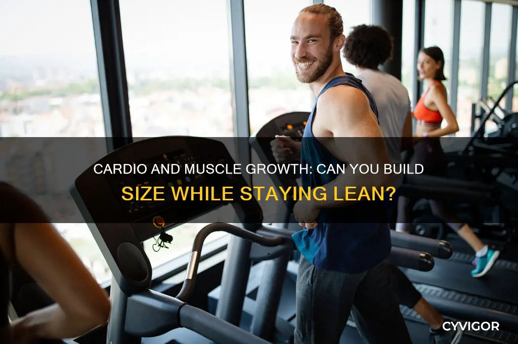 can uoi gain muscle and size if you do cardio