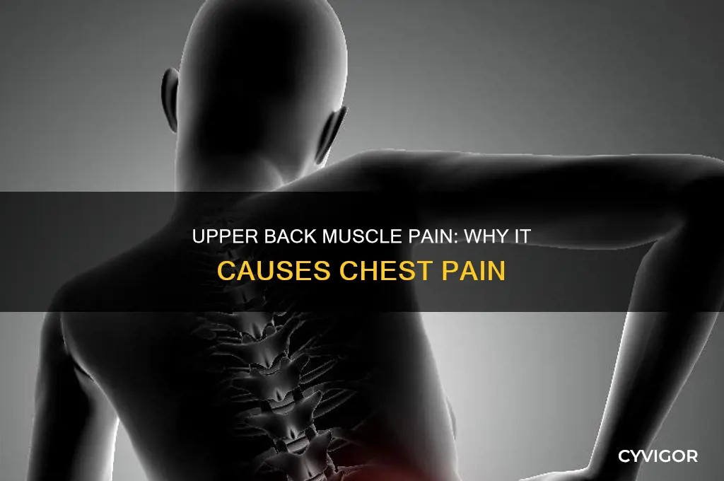 can upper back muscle pain cause chest pain