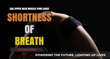 Back Pain and Breathing: What's the Link?
