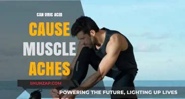 Uric Acid and Muscle Aches: Is There a Link?