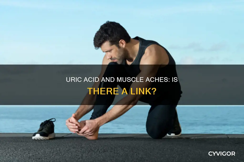 can uric acid cause muscle aches