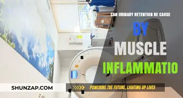 Muscle Inflammation and Urinary Retention: What's the Link?