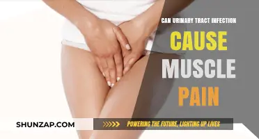 Muscle Pain and UTI: Is There a Link?