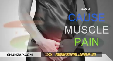 UTI and Muscle Pain: What's the Link?