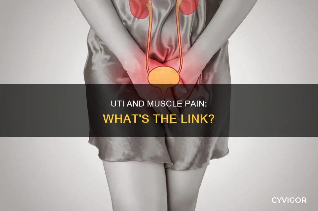 can uti cause muscle pain