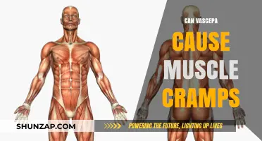 Vascepa and Muscle Cramps: What's the Link?