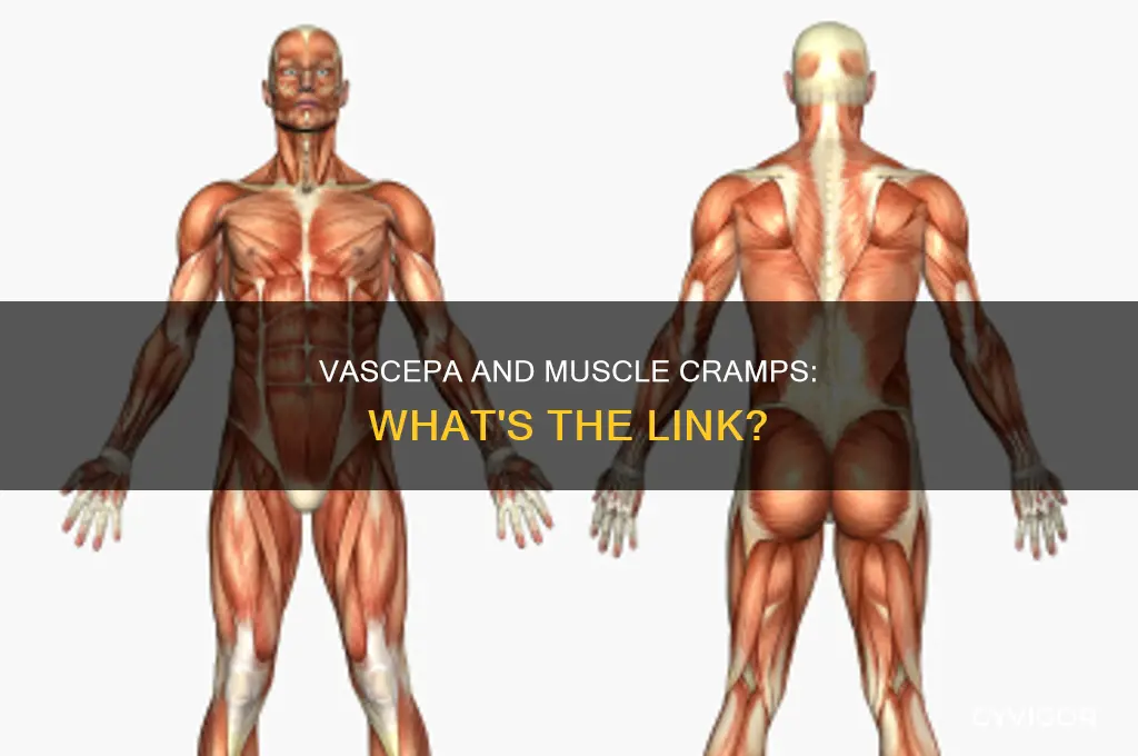 can vascepa cause muscle cramps