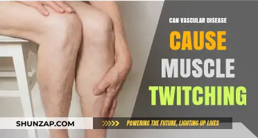 Vascular Disease: A Cause of Muscle Twitching?
