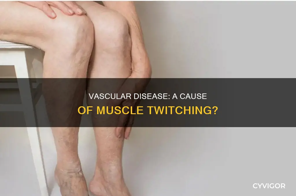 can vascular disease cause muscle twitching