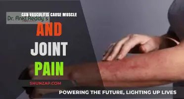 Vasculitis and Pain: Joint and Muscle Aches