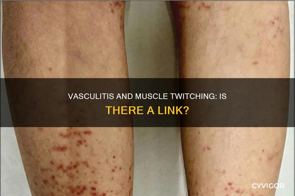 can vasculitis cause muscle twitching