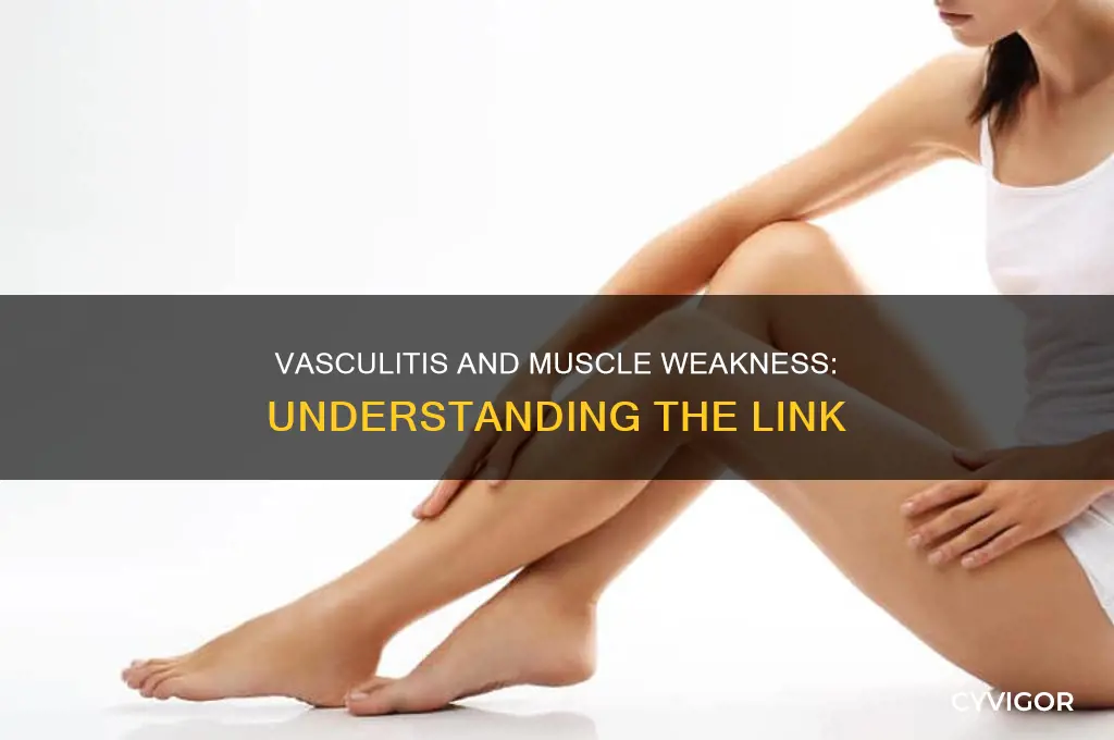 can vasculitis cause muscle weakness