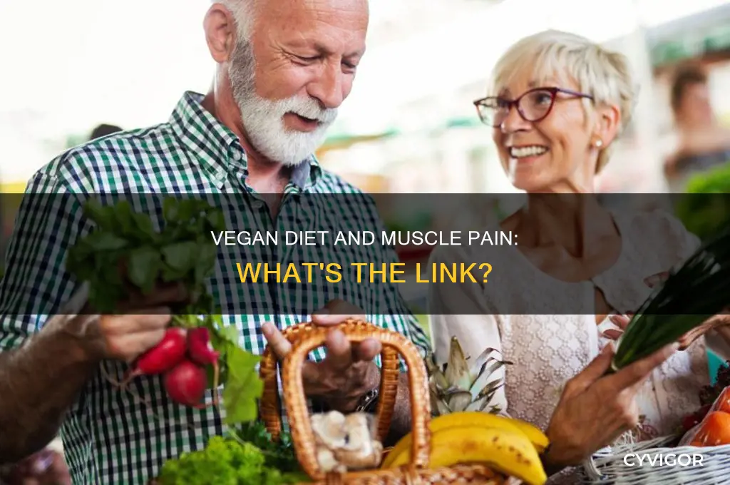can vegan diet cause muscle pain