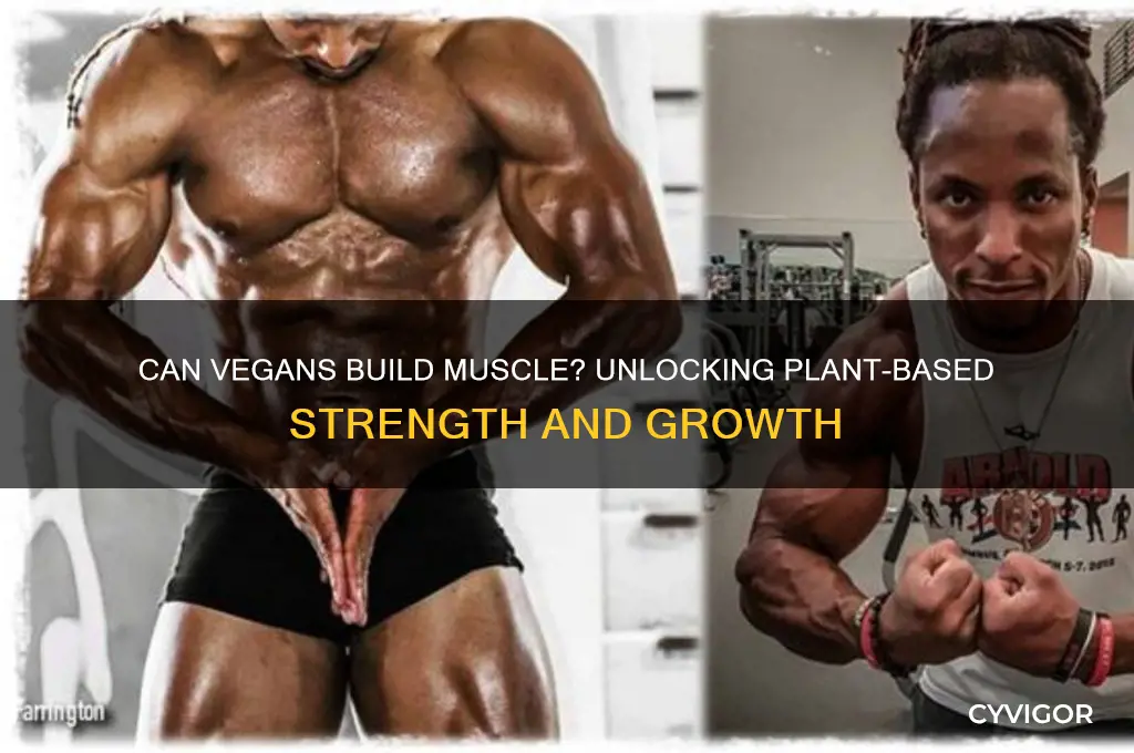 can vegan gain muscle
