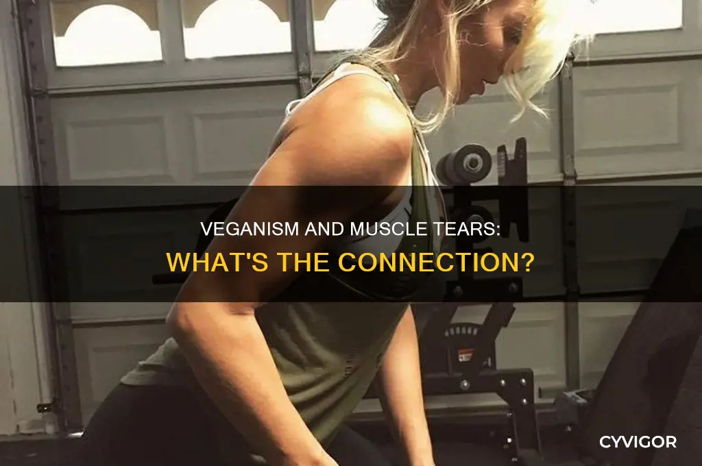 can veganism cause muscle tears