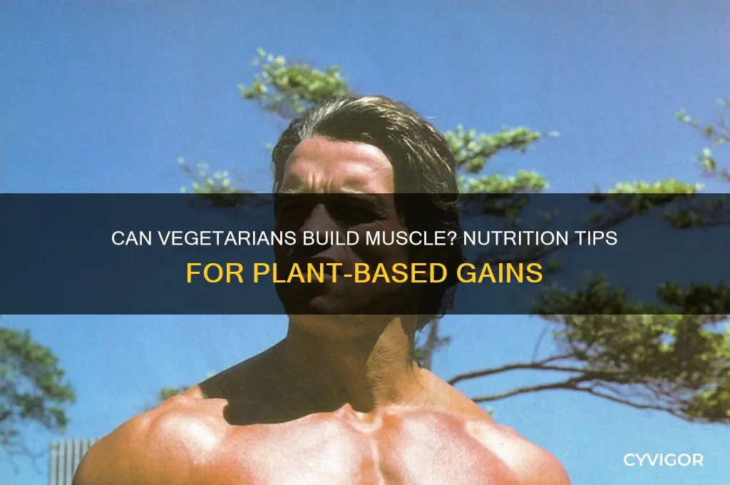can vegetarian gain muscle