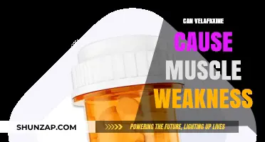 VelaFaxine and Muscle Weakness: What's the Link?