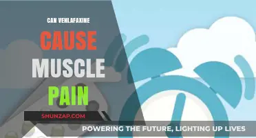 Venlafaxine Side Effects: Muscle Pain Explained
