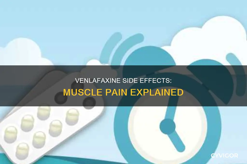 can venlafaxine cause muscle pain