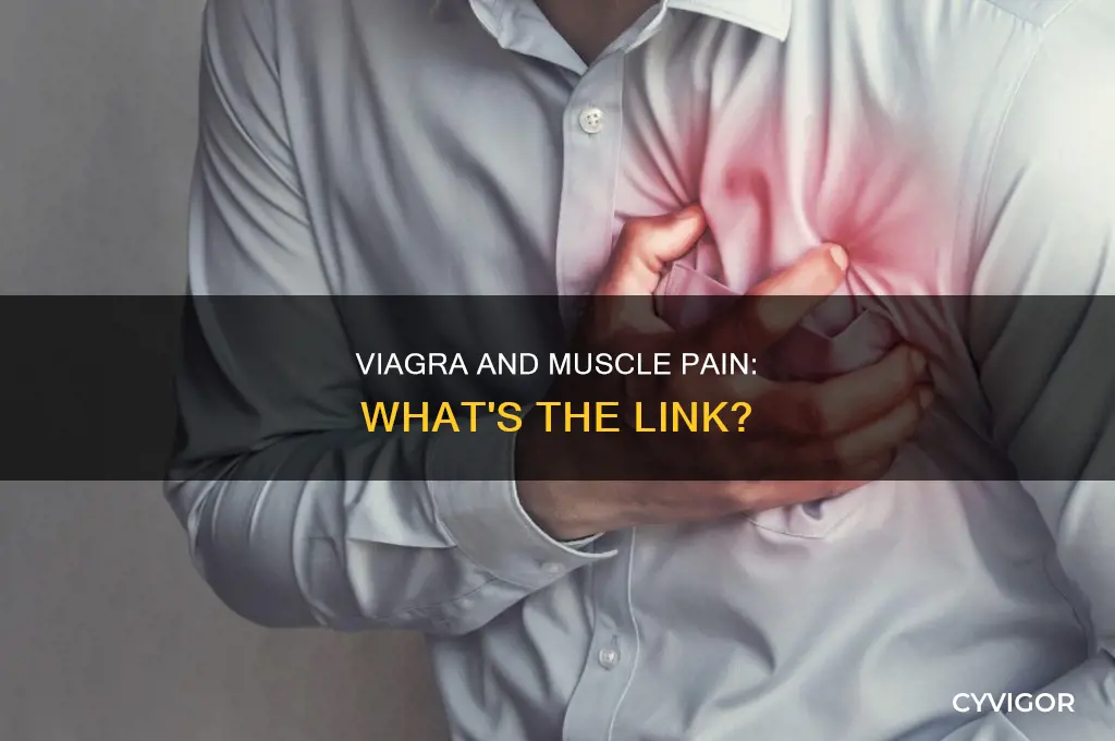 can viagra cause muscle pain