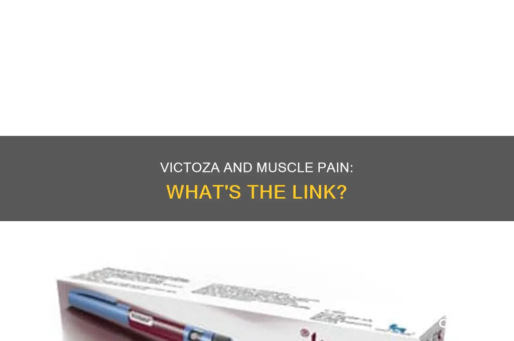 can victoza cause muscle pain
