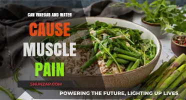 Vinegar and Water: A Surprising Cause of Muscle Pain?