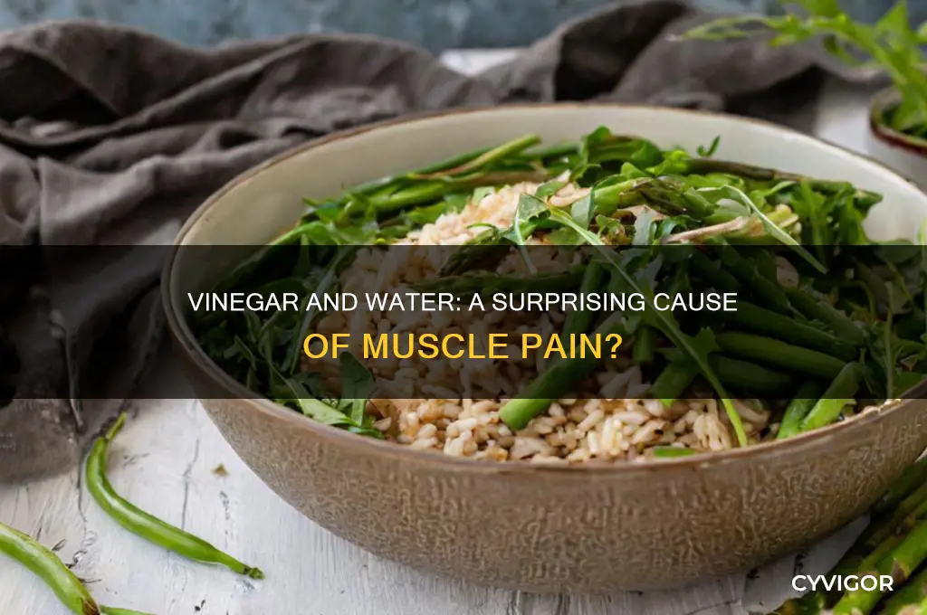 can vinegar and water cause muscle pain