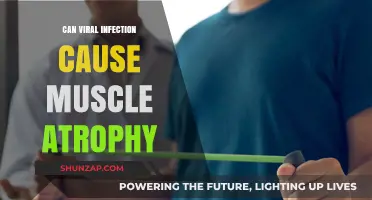Viral Infections: A Cause of Muscle Atrophy?