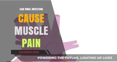 Viral Infections: Understanding the Link to Muscle Pain