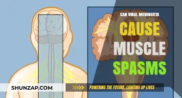 Meningitis Muscle Spasms: What's the Link?